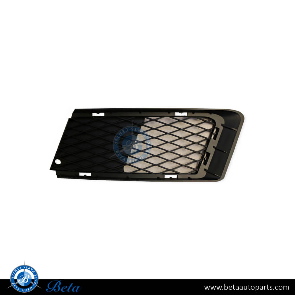 Left Side Front Bumper Lower Grille for BMW 3 Series E92 2005-2011 models, Part Number 51117154719 Left Side Front Bumper Lower Grille for BMW 3 Series E92 2005-2011 models, Part Number 51117154719